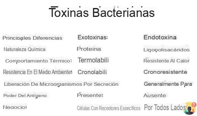 ¿Qué son las toxinas bacterianas?