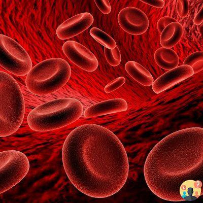 ¿Cuándo está alta la hemoglobina?