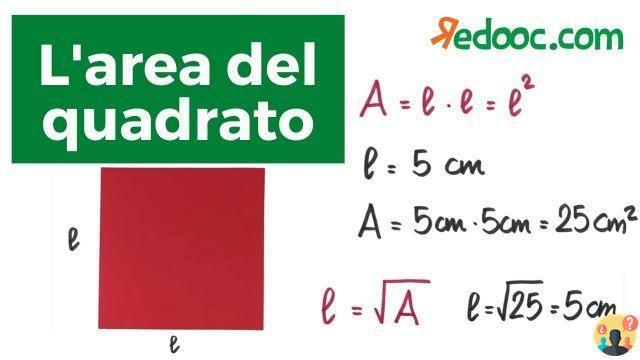 ¿Cuál es la fórmula para calcular el área del cuadrado?