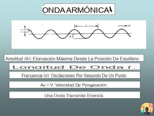 ¿Cómo se calcula la amplitud de las ondas armónicas?
