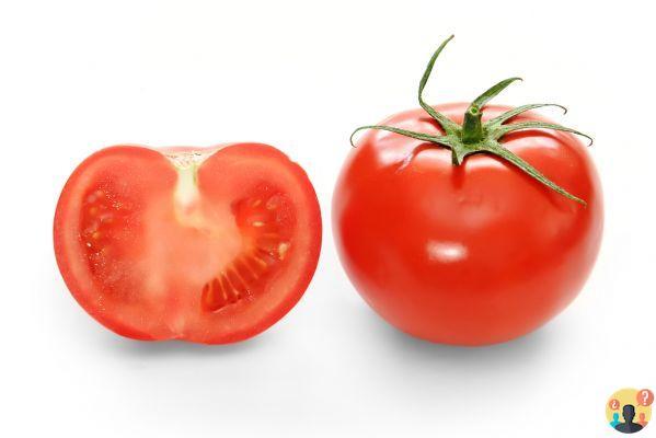 ¿Qué es un tomate vegetal?