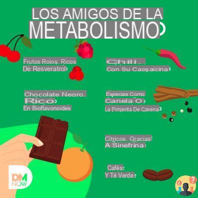 ¿Cómo se reactiva el metabolismo?