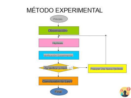 ¿Cuáles son las etapas del método científico experimental?