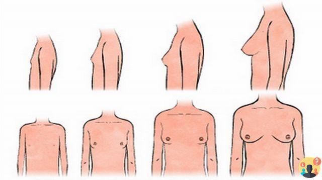 ¿Cómo saber si los senos están creciendo?