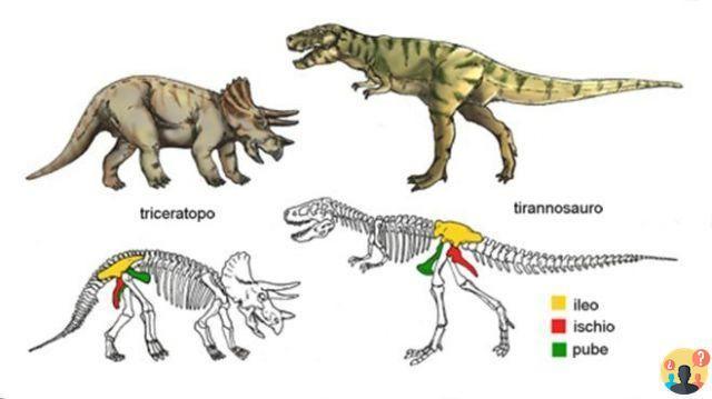 ¿Cuántas especies de dinosaurios han existido?