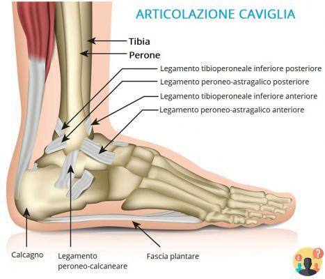 ¿Qué ligamentos se lesionan con mayor frecuencia en el tobillo?