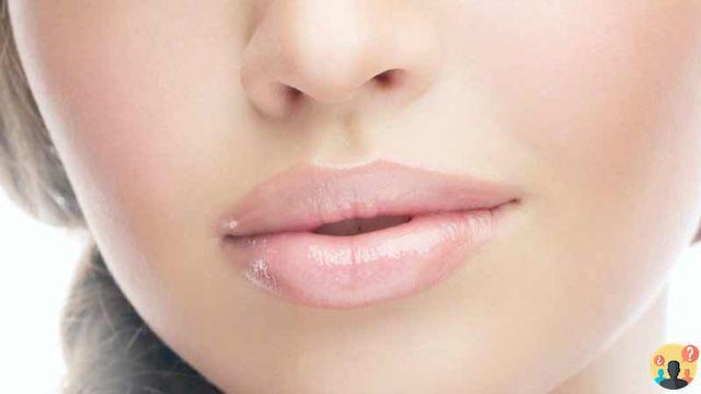 ¿Cuáles son los labios perfectos?