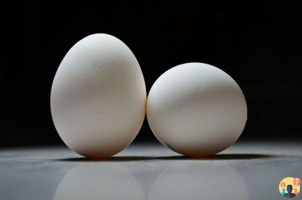 ¿Cuántas claras de huevo puedes comer al día?