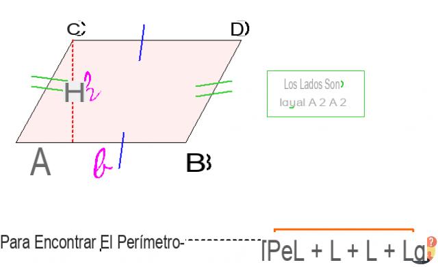 ¿Cómo se calcula el perímetro del paralelogramo?