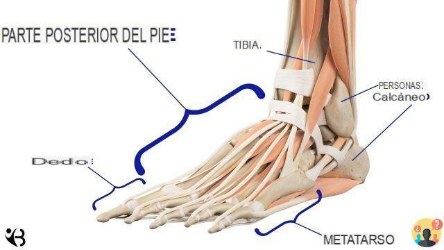 ¿Por qué duele la parte posterior del pie?