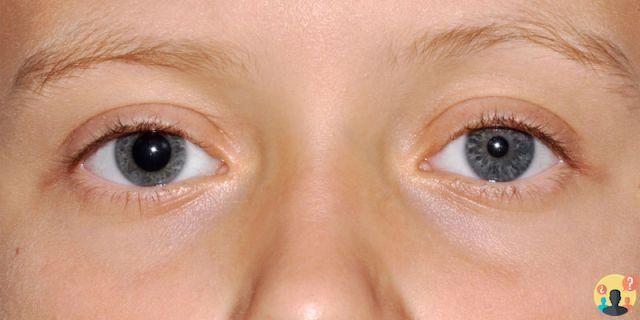 ¿Por qué la pupila no permanece siempre del mismo tamaño?