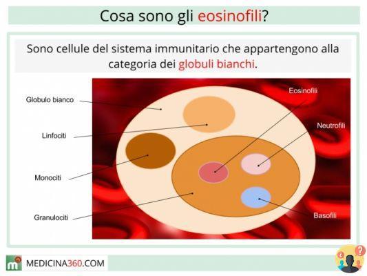 ¿Qué son los eosinófilos en los análisis de sangre?