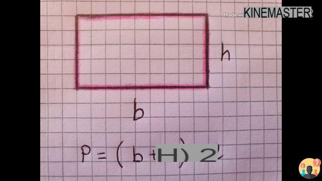 ¿Cuál es el perímetro de un rectángulo?