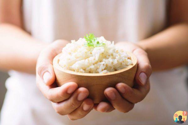 ¿Qué pasa si comes arroz todos los días?