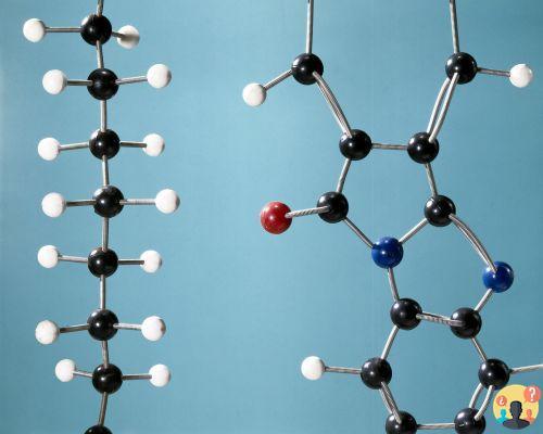 ¿Quiénes son los monómeros y polímeros?
