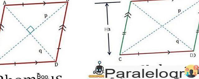¿Diferencia entre paralelogramo y rectángulo?
