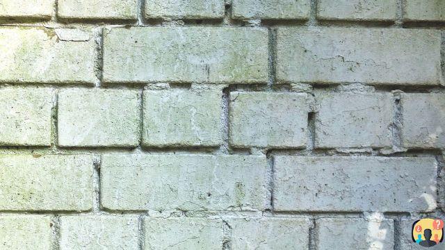 ¿Cómo quitar el salitre de las paredes de piedra?