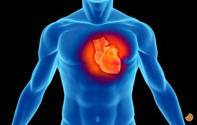 ¿Cuánto pesa un corazón humano?
