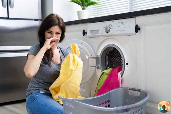 ¿Cómo deshacerse de los olores desagradables de la lavadora?