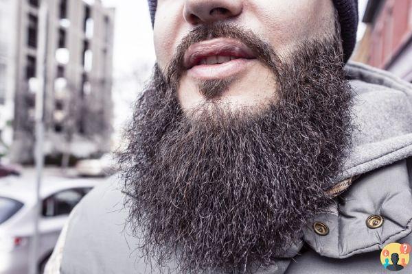 ¿Qué significa barba erizada?