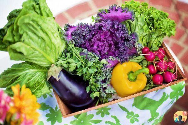 ¿Qué son las verduras frescas?