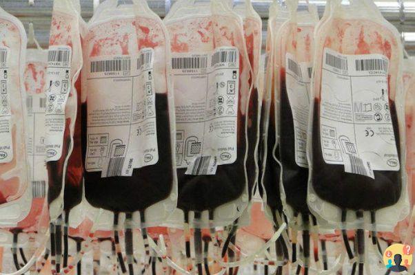 ¿Cuánto tiempo se tarda en transfundir una bolsa de sangre?