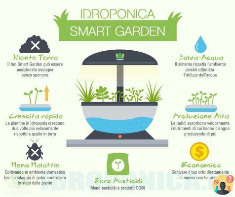 ¿Cómo funciona el jardín hidropónico?