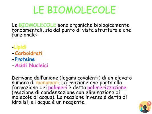 ¿Qué son las biomoléculas y dónde se pueden encontrar?