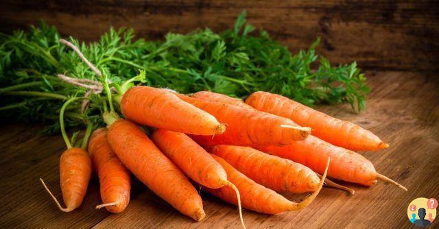 ¿Qué es la zanahoria?