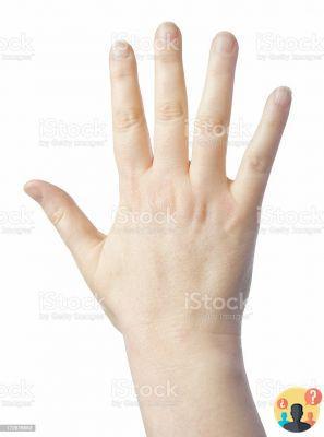 ¿Qué es el dorso de la mano?