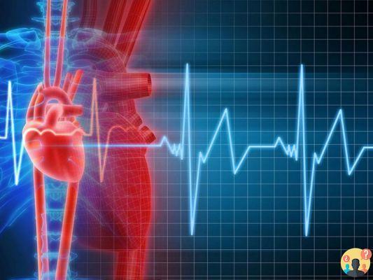 ¿Qué hace que la frecuencia cardíaca aumente?