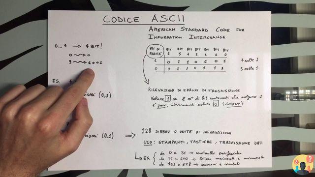 ¿Por qué diferentes evoluciones siguieron el código ascii estándar?