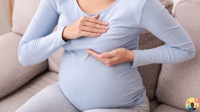 ¿Cómo se vuelve el seno durante el embarazo?