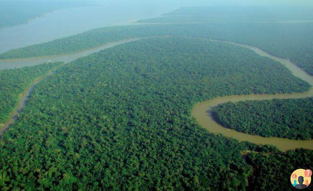 ¿Dónde está la selva amazónica?