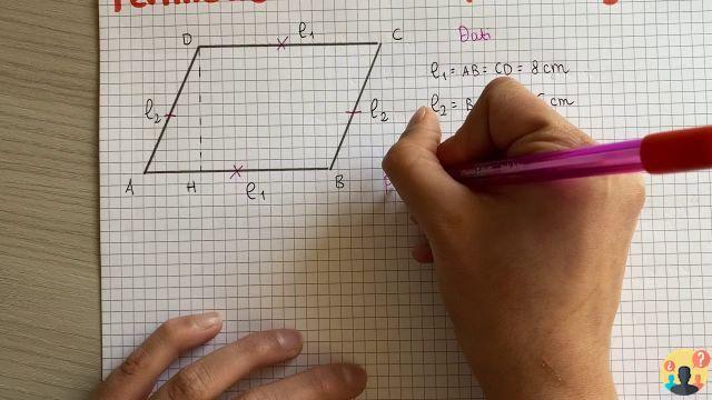 ¿Cuál es el área del paralelogramo?