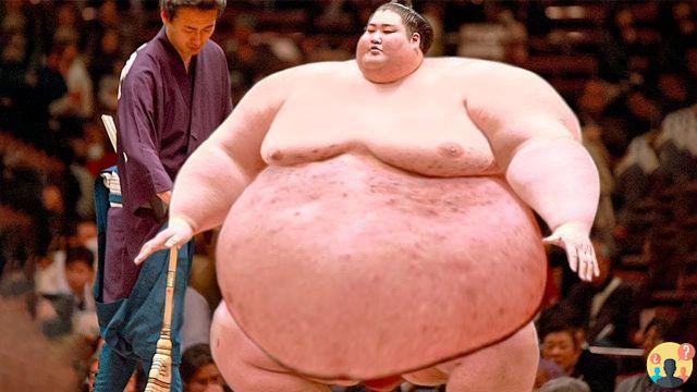 ¿Salario luchador de sumo?