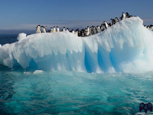 ¿Cuántas personas viven en la Antártida?