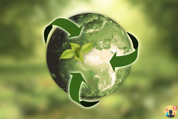 ¿Qué es sostenible?