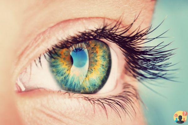 ¿Qué colores percibe el ojo humano?