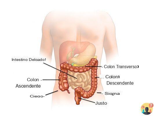 ¿Qué es la resección intestinal?