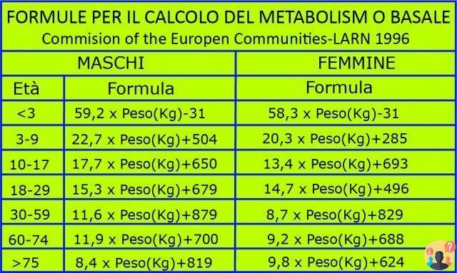 ¿Cómo se calcula la tasa metabólica basal?