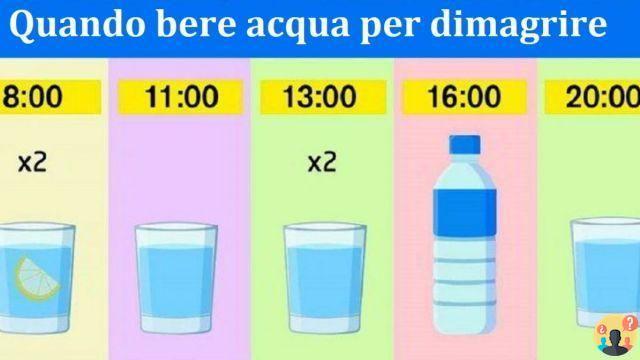 ¿Cuánta agua se debe beber para bajar de peso?