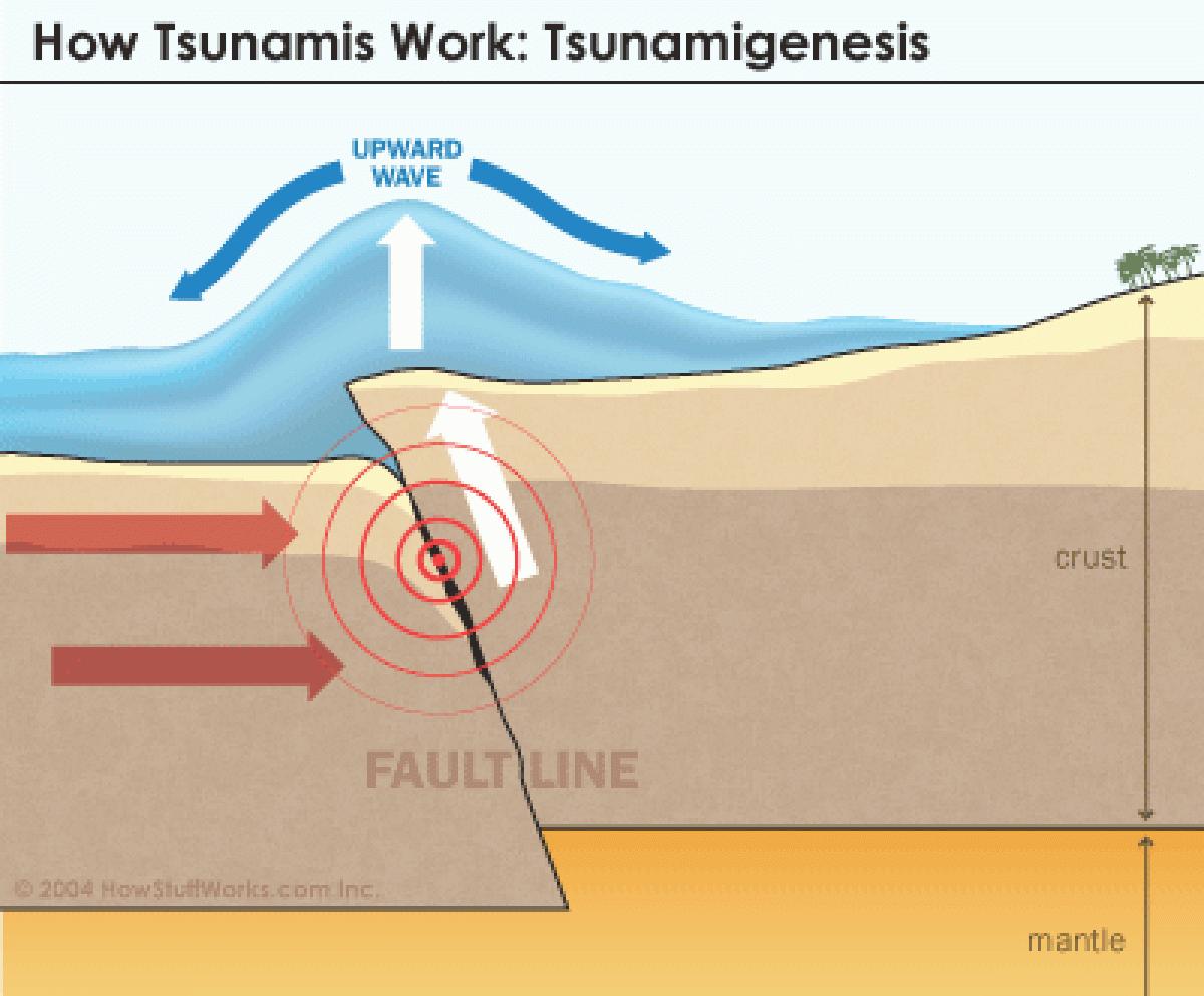 ¿Cómo se forman los tsunamis?