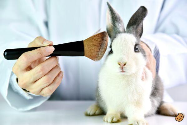 ¿Qué productos se prueban en animales?