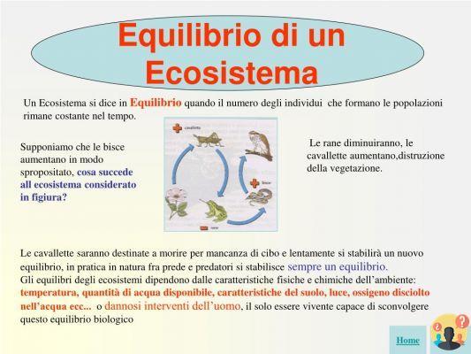 ¿Qué es un ecosistema en equilibrio?