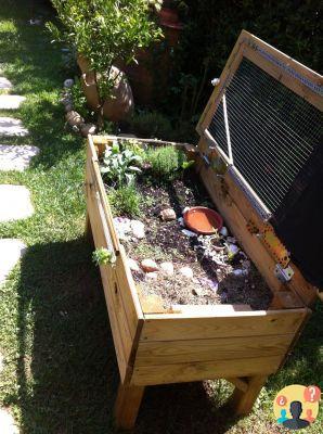 ¿Cómo construir un terrario para tortugas terrestres en el jardín?