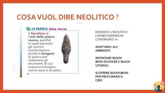 ¿Qué significa paleolítico y neolítico?