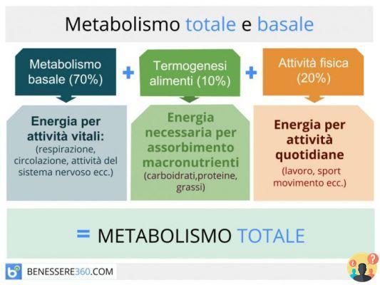 ¿Definición de tasa metabólica basal?