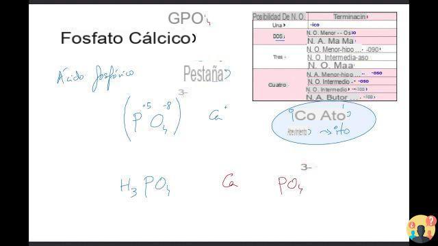 ¿Cómo se escribe fosfato de calcio?