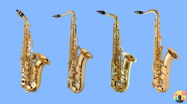 ¿Todo tipo de saxofón?